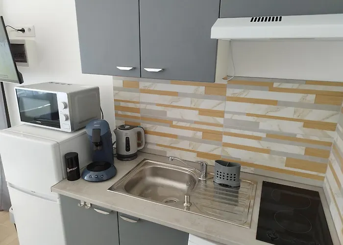 Studio Residence Les Miramars